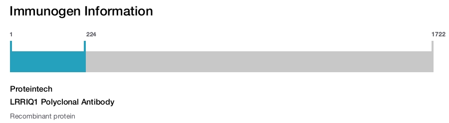 LRRIQ1 Polyclonal Antibody