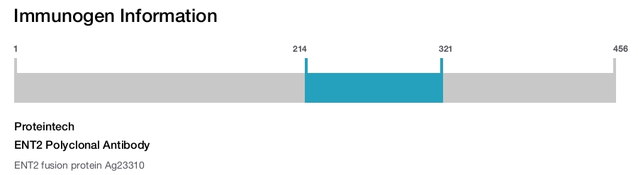 ENT2 Polyclonal Antibody