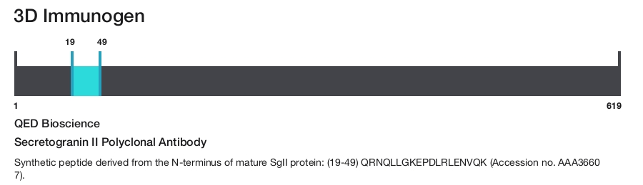 Secretogranin II Polyclonal Antibody
