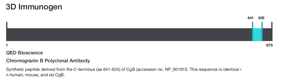 Chromogranin B Polyclonal Antibody