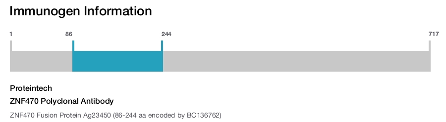 ZNF470 Polyclonal Antibody