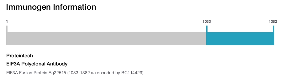 EIF3A Polyclonal Antibody