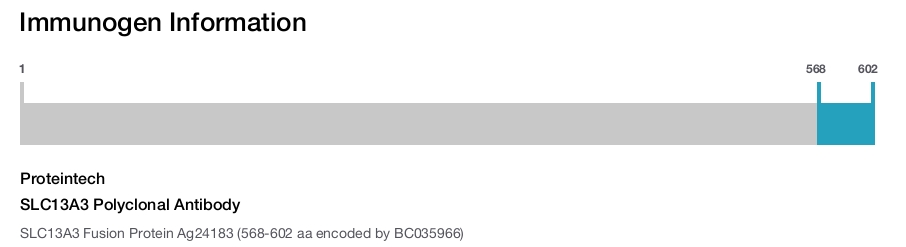 SLC13A3 Polyclonal Antibody