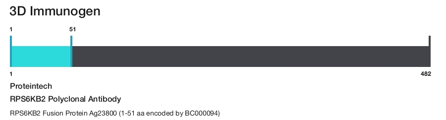 RPS6KB2 Polyclonal Antibody