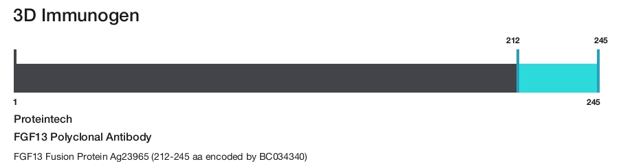 FGF13 Polyclonal Antibody