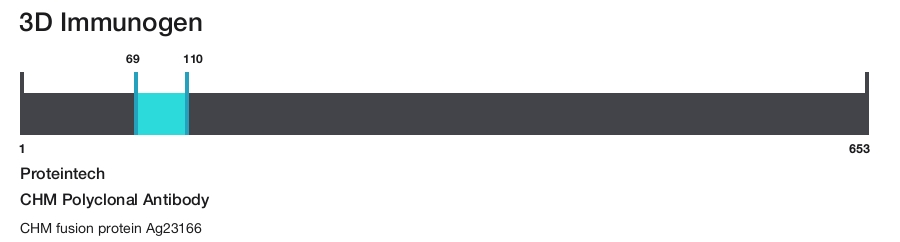 CHM Polyclonal Antibody
