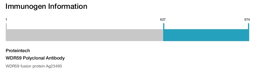 WDR59 Polyclonal Antibody