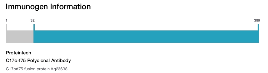 C17orf75 Polyclonal Antibody