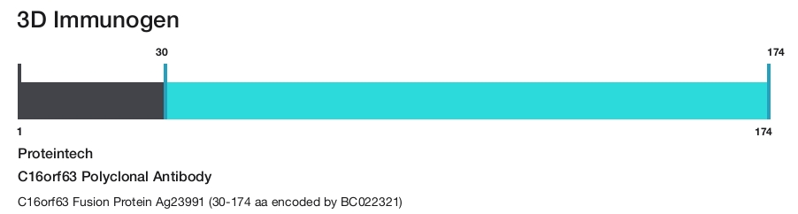C16orf63 Polyclonal Antibody