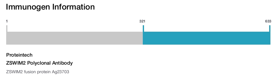ZSWIM2 Polyclonal Antibody