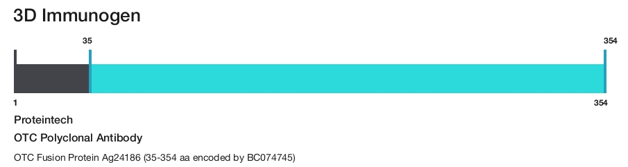OTC Polyclonal Antibody