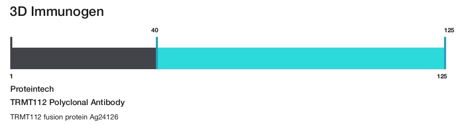 TRMT112 Polyclonal Antibody