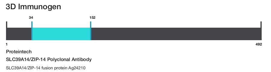 SLC39A14/ZIP-14 Polyclonal Antibody