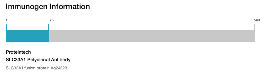 SLC33A1 Polyclonal Antibody