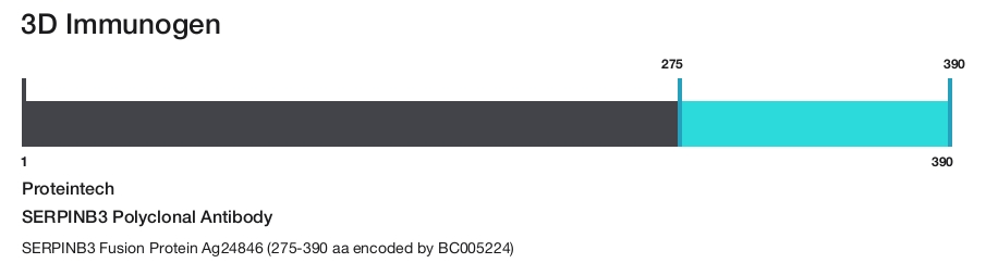 SERPINB3 Polyclonal Antibody