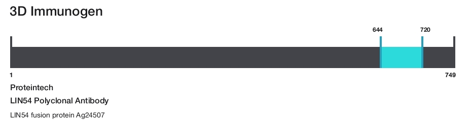 LIN54 Polyclonal Antibody