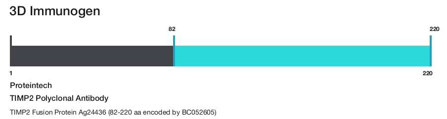 TIMP2 Polyclonal Antibody