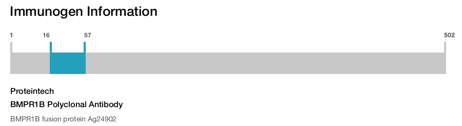 BMPR1B Polyclonal Antibody