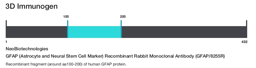 GFAP (Astrocyte and Neural Stem Cell Marker) Recombinant Rabbit Monoclonal Antibody (GFAP/8255R)