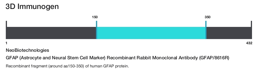 GFAP (Astrocyte and Neural Stem Cell Marker) Recombinant Rabbit Monoclonal Antibody (GFAP/8616R)
