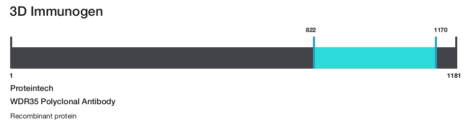 WDR35 Polyclonal Antibody