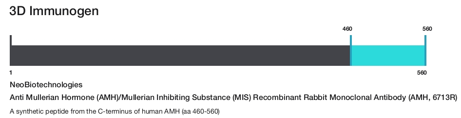 Anti Mullerian Hormone (AMH)/Mullerian Inhibiting Substance (MIS) Recombinant Rabbit Monoclonal Antibody (AMH, 6713R)