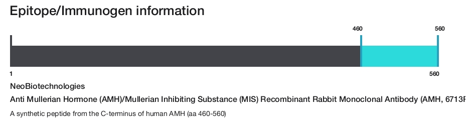 Anti Mullerian Hormone (AMH)/Mullerian Inhibiting Substance (MIS) Recombinant Rabbit Monoclonal Antibody (AMH, 6713R)