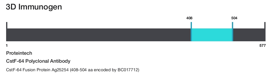 CstF-64 Polyclonal Antibody