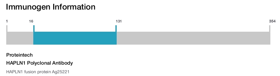 HAPLN1 Polyclonal Antibody