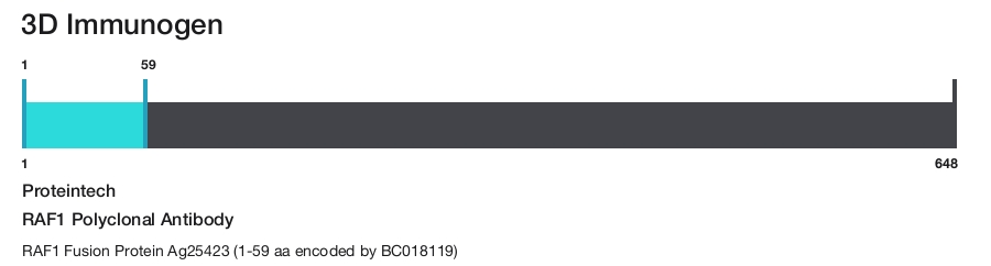RAF1 Polyclonal Antibody