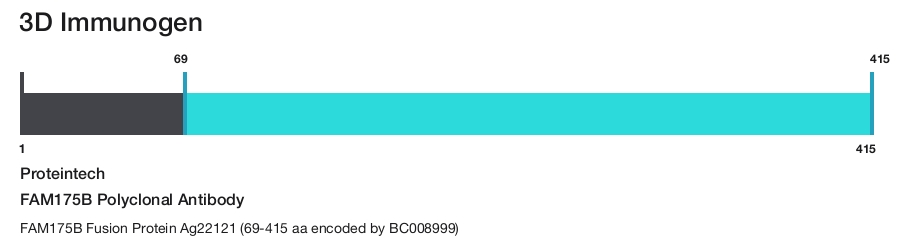 FAM175B Polyclonal Antibody