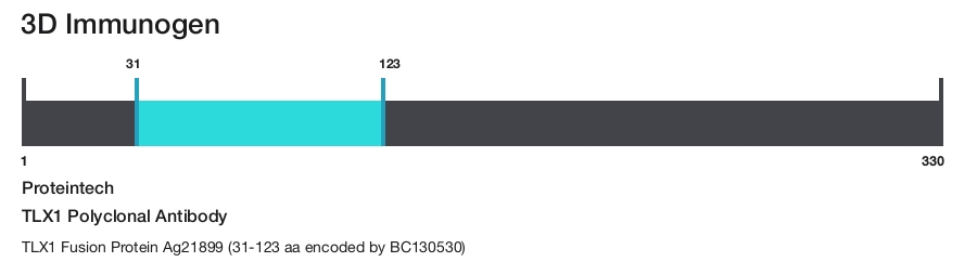 TLX1 Polyclonal Antibody