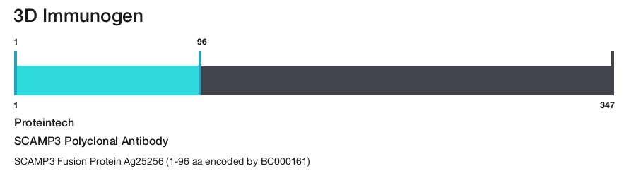 SCAMP3 Polyclonal Antibody