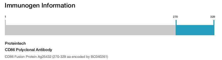 CD86 Polyclonal Antibody