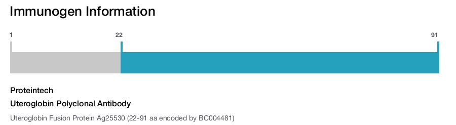 Uteroglobin Polyclonal Antibody