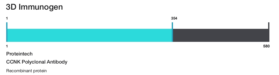 CCNK Polyclonal Antibody