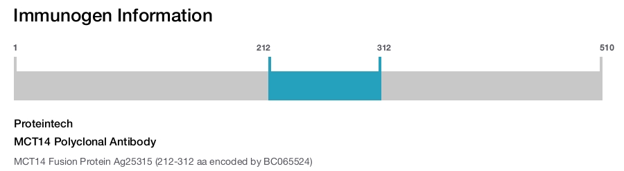 MCT14 Polyclonal Antibody