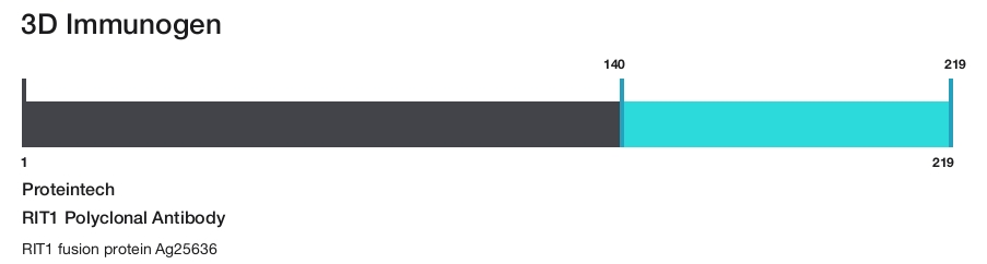 RIT1 Polyclonal Antibody
