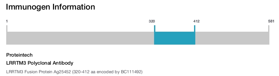 LRRTM3 Polyclonal Antibody