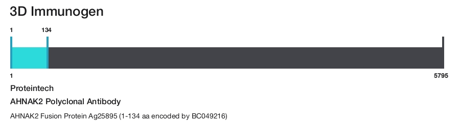 AHNAK2 Polyclonal Antibody