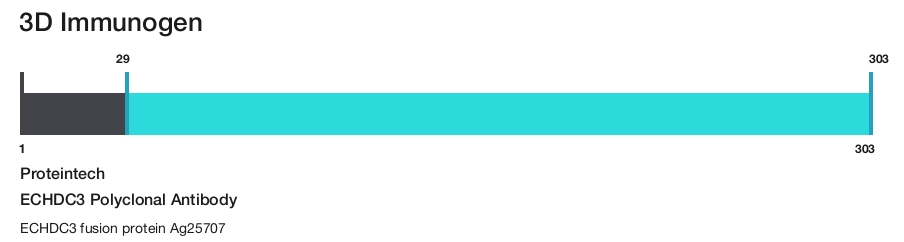 ECHDC3 Polyclonal Antibody