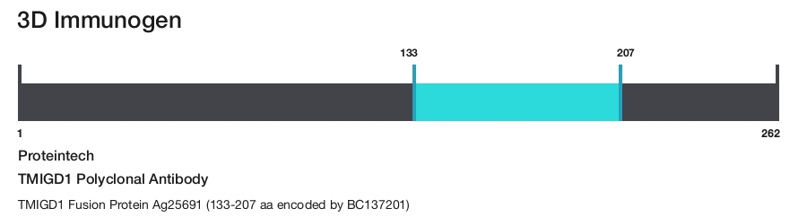 TMIGD1 Polyclonal Antibody