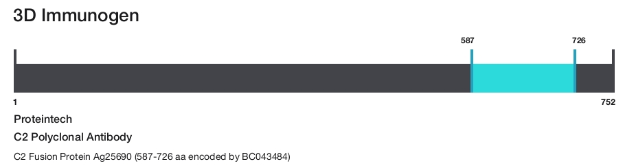 C2 Polyclonal Antibody