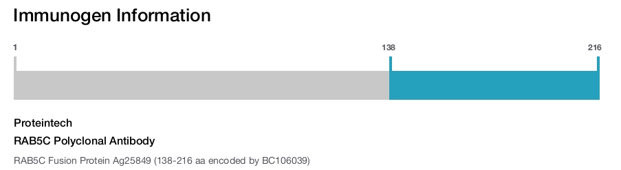 RAB5C Polyclonal Antibody