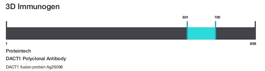 DACT1 Polyclonal Antibody