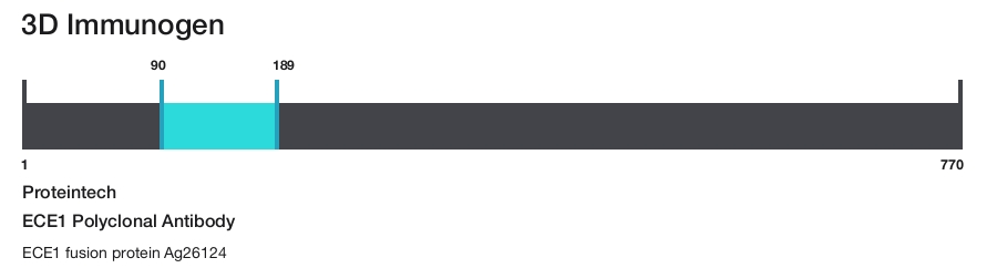 ECE1 Polyclonal Antibody