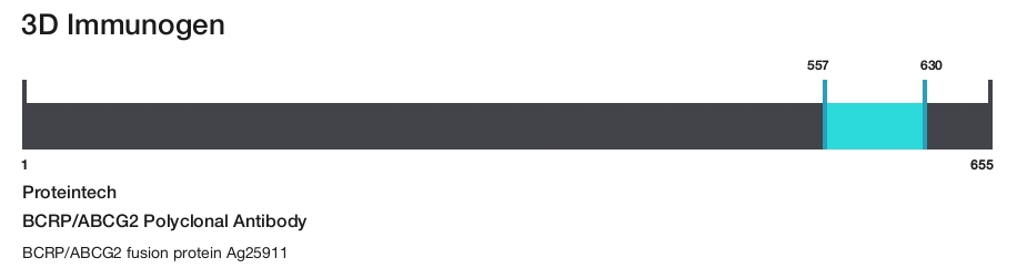 BCRP/ABCG2 Polyclonal Antibody