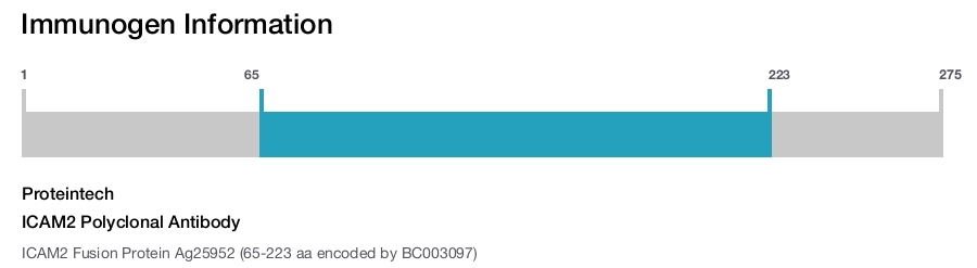 ICAM2 Polyclonal Antibody