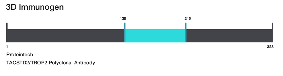 TACSTD2/TROP2 Polyclonal Antibody