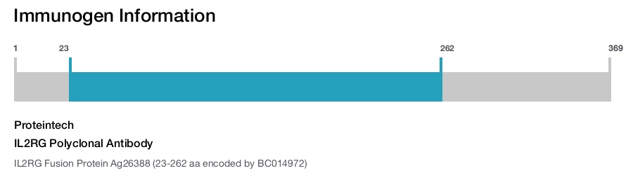 IL2RG Polyclonal Antibody